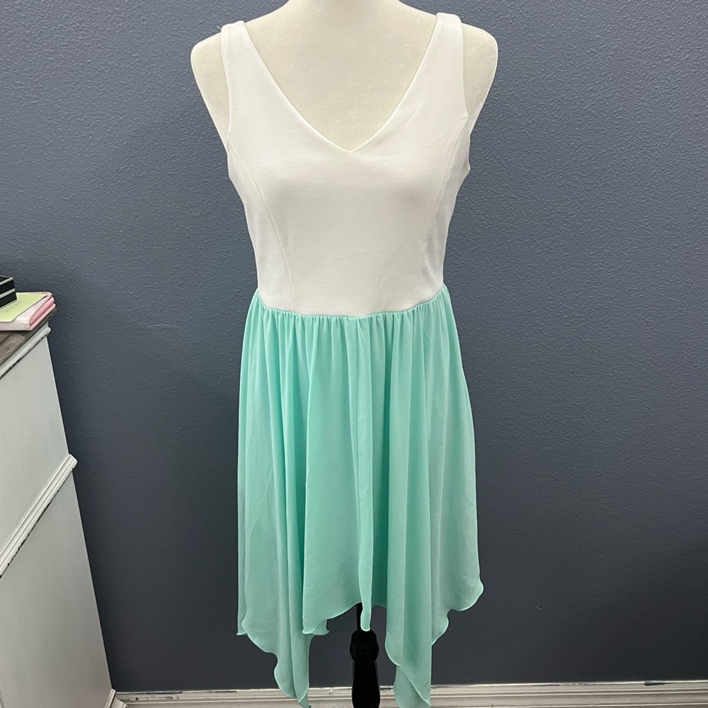 Freeway Sz Large white/Blue Lined Dress